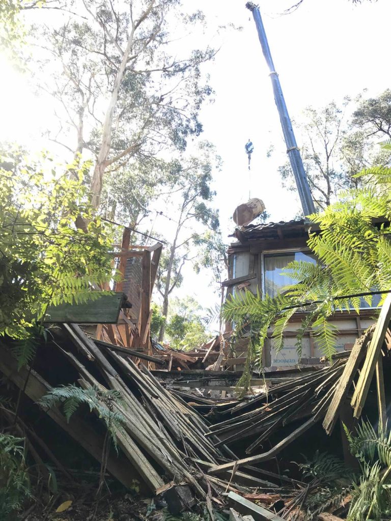 TLC Trees - Service - Emergency , tree cutting, tree pruning Melbourne