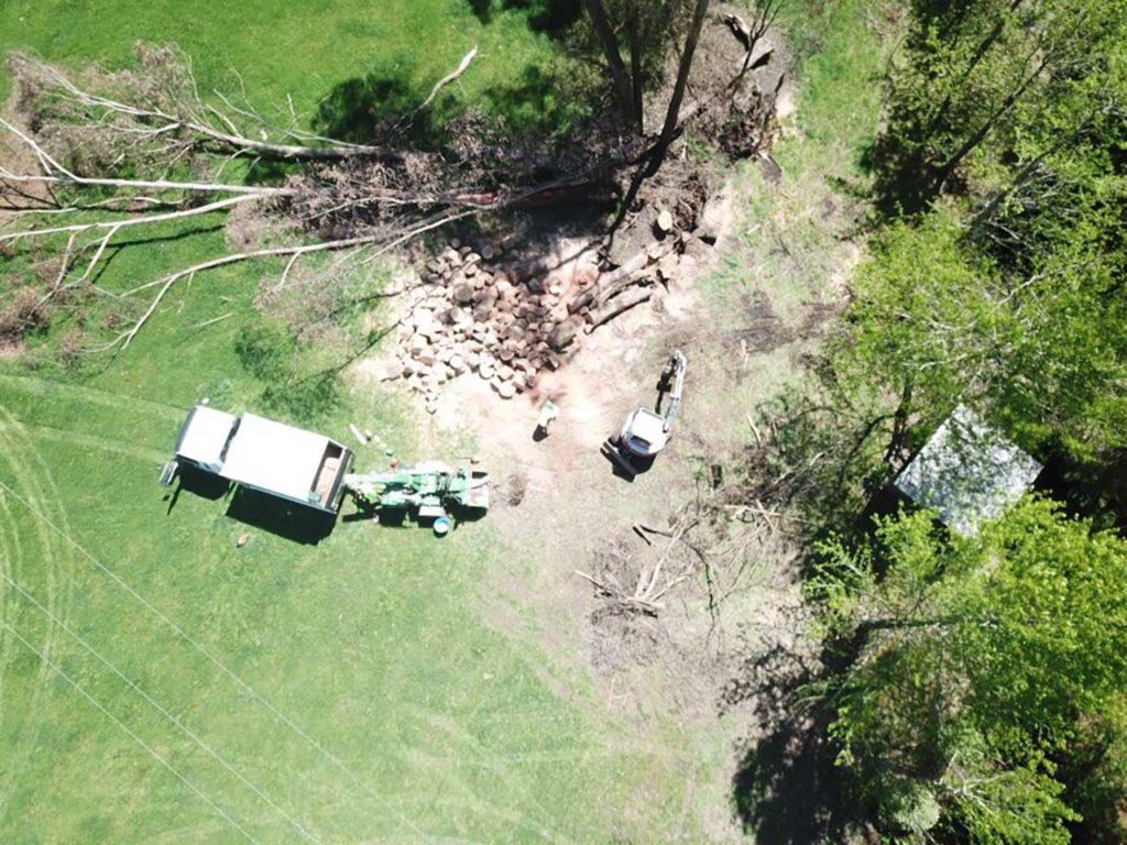 TLC Trees - Service - Emergency - 8