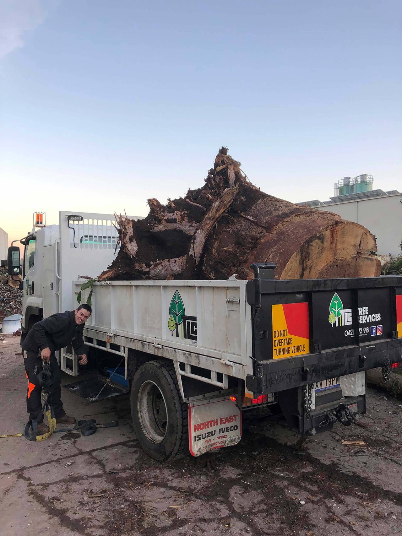 TLC Trees - Service - Stumpo Removal - 6