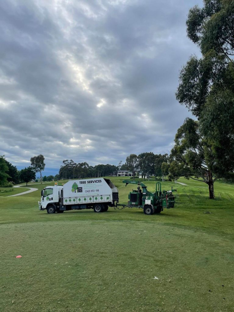 dumper used for tree removal, dumper truck of tlc trees in vast green terrain, cloudy skies