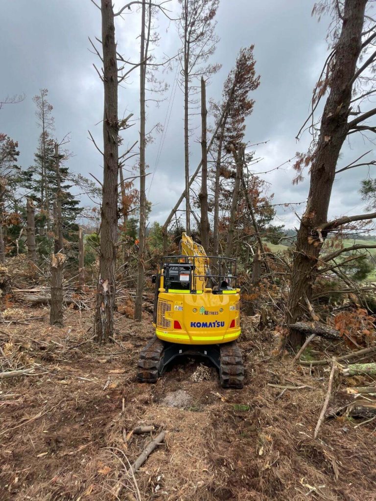 land clearing, land clearing services, property clearing, tree clearing melbourne, yellow excavator clearing trees