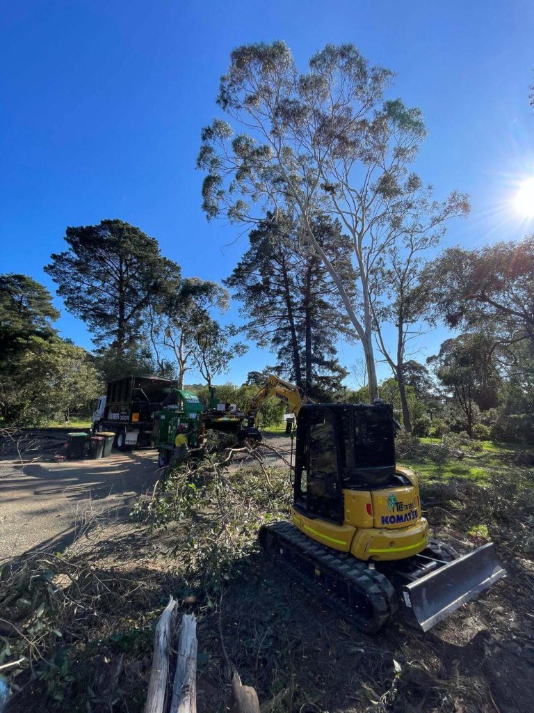 large scale tree removal, big tree removal, yellow excavator on tree removal site