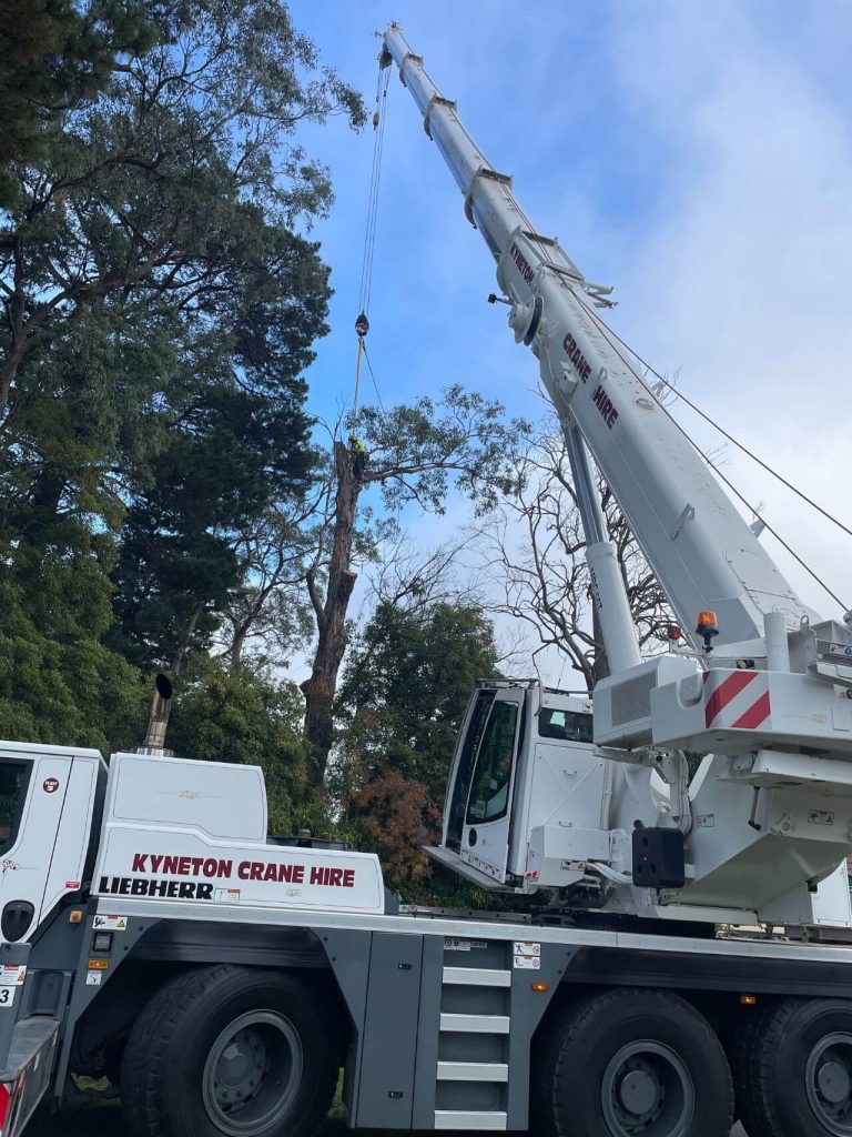 large white crane lifting heavy tree trunk, large scale tree removal at work in melbourne