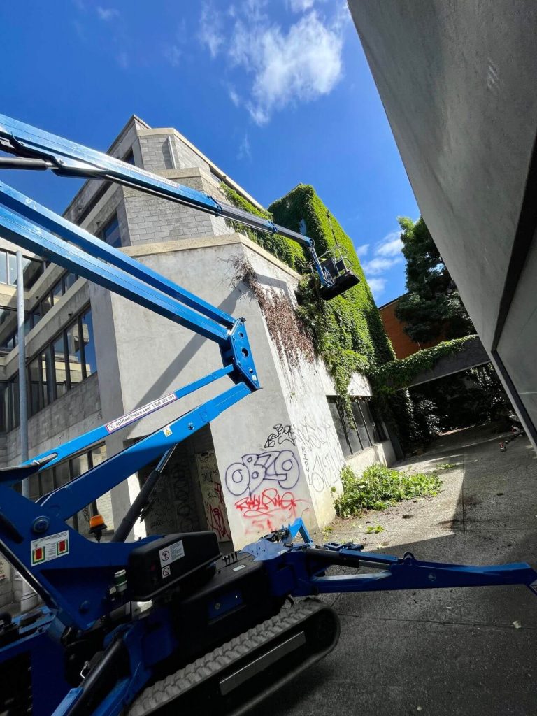 spider lift carrying arborist to trim hedges, hedge trimming service, hedge cutting