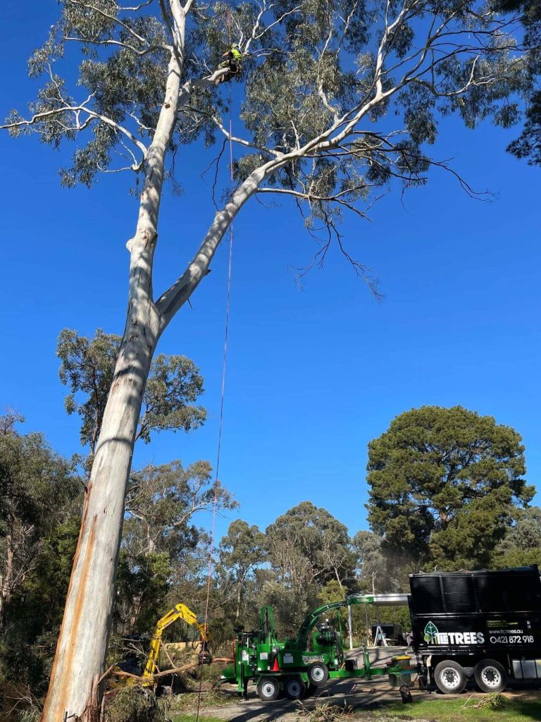 tree cutting and pruning service in melbourne, arborist at work, wood chipper on ground