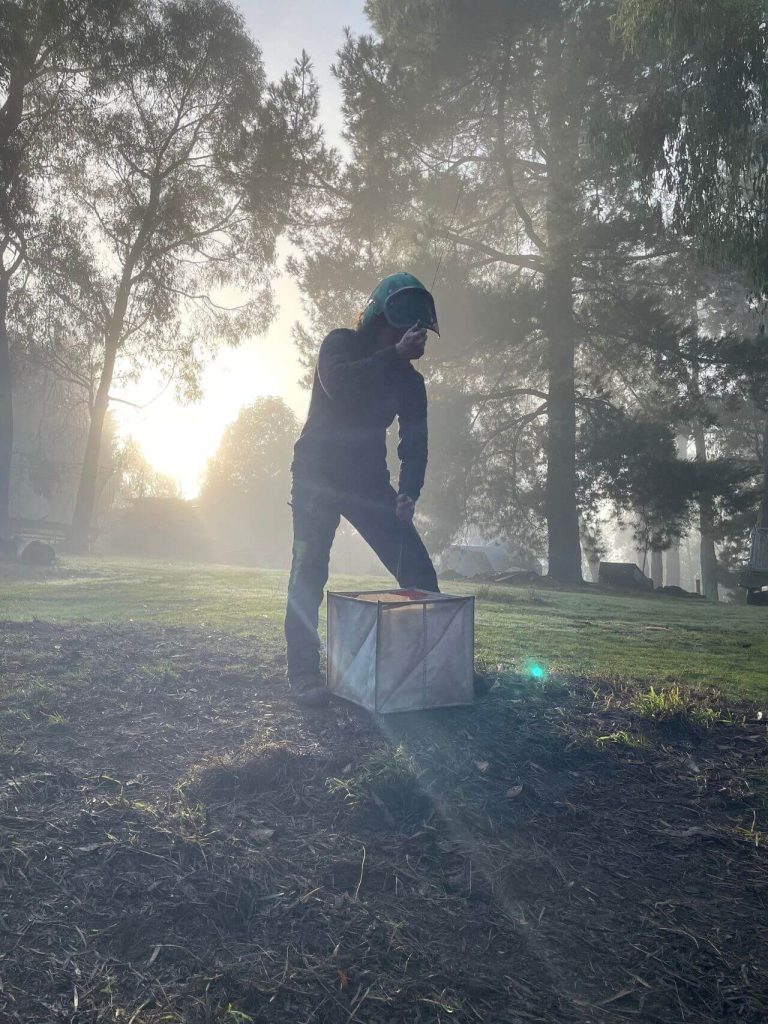 tree felling preparation or tree risk assessment, arborist reports, arborist working