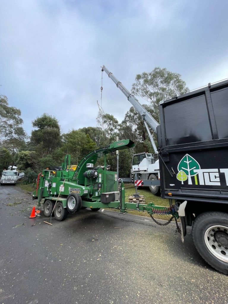 wood chipper of tlc trees attached to dumper, wood chipping services, tree chipping in melbourne