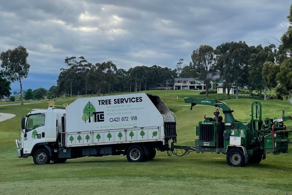 Fallen trees removal services equipment - TLC Trees