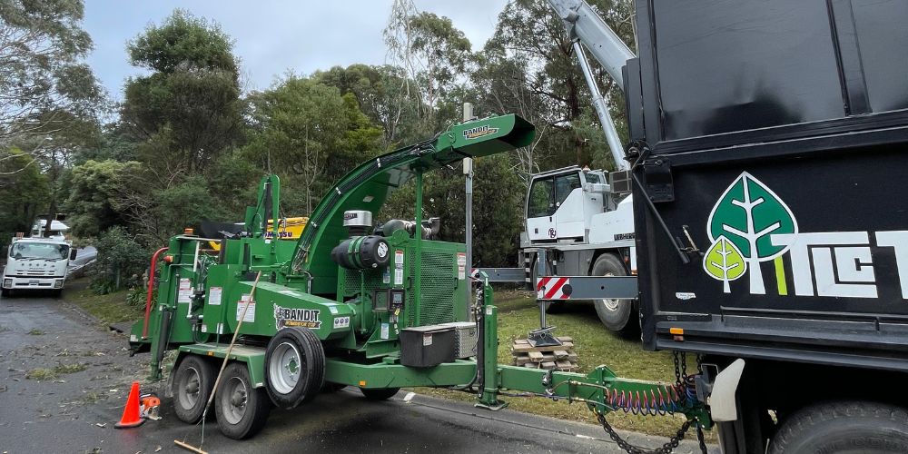 tree services equipment