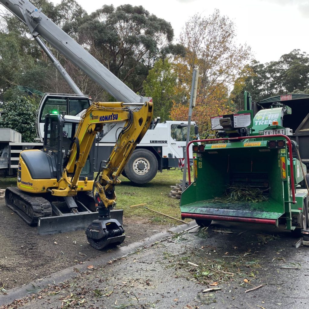 Large tree removal equipments