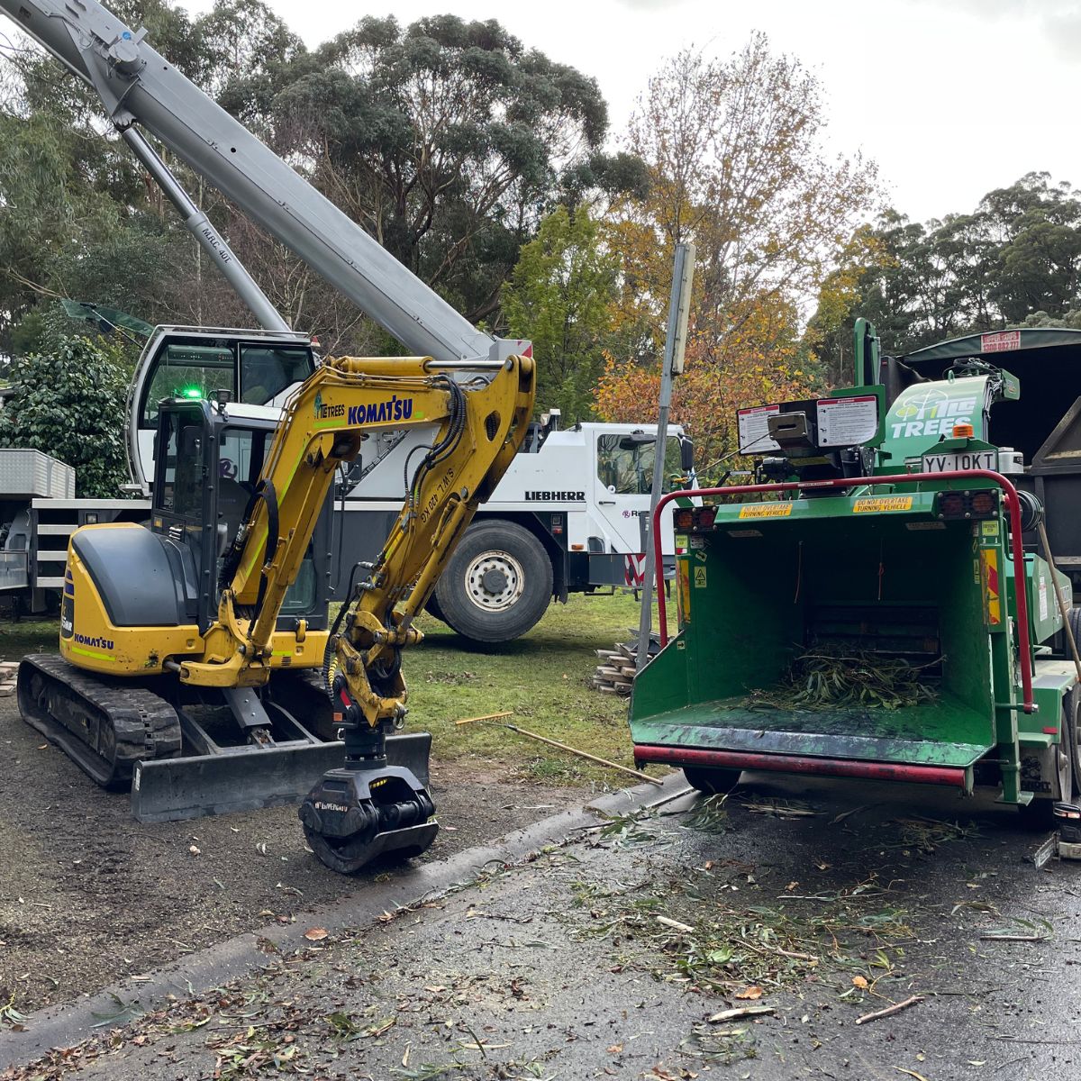 Large tree removal equipments