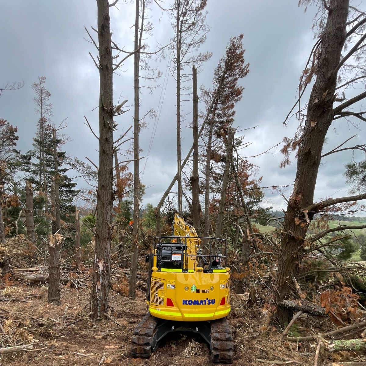 A yellow excavator digging near a tree