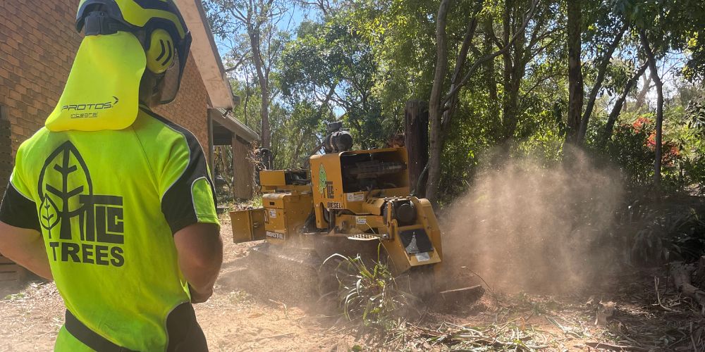 Arborist operating a stump grinder near a residential property