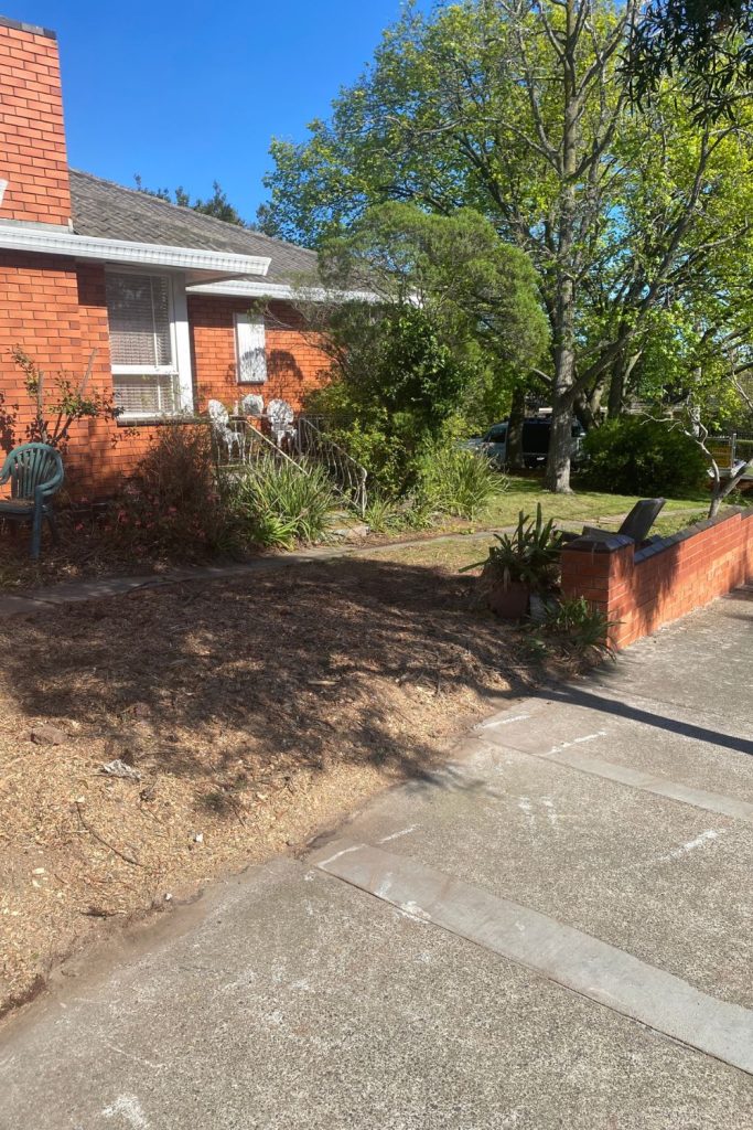 large tree removal vermont