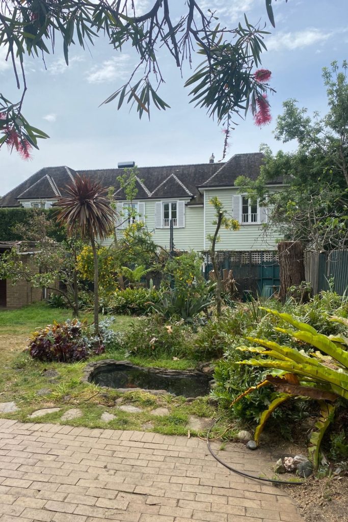 tree removal service in brighton