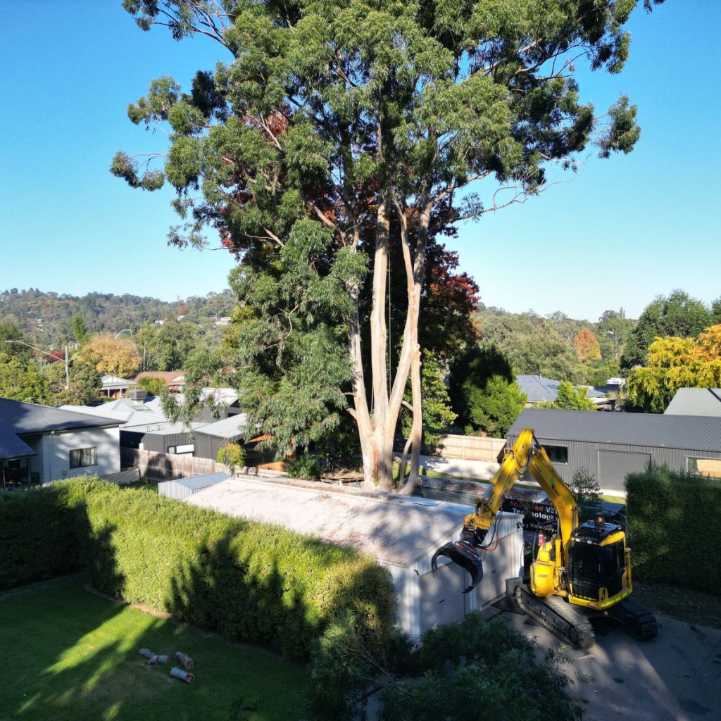 healesville project 2