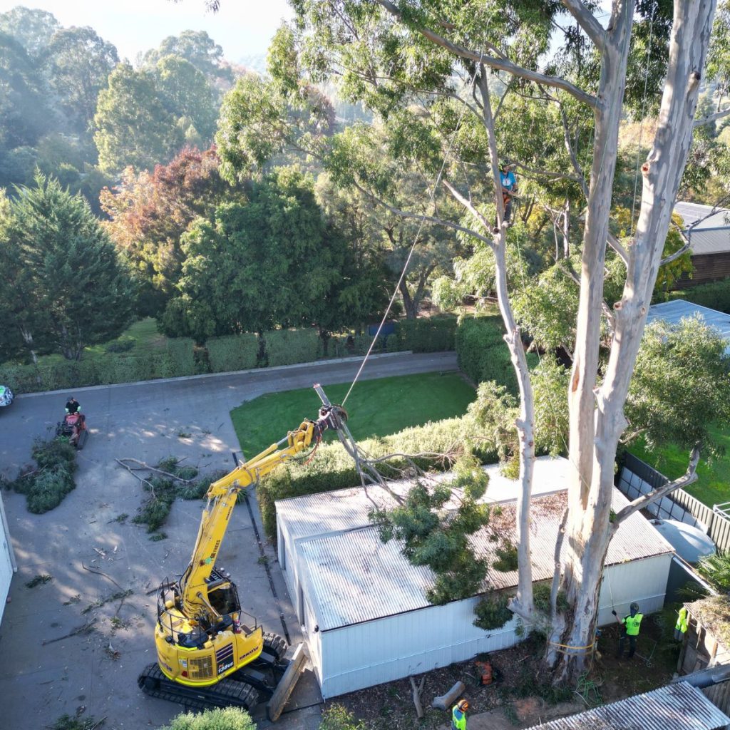 healesville project 3