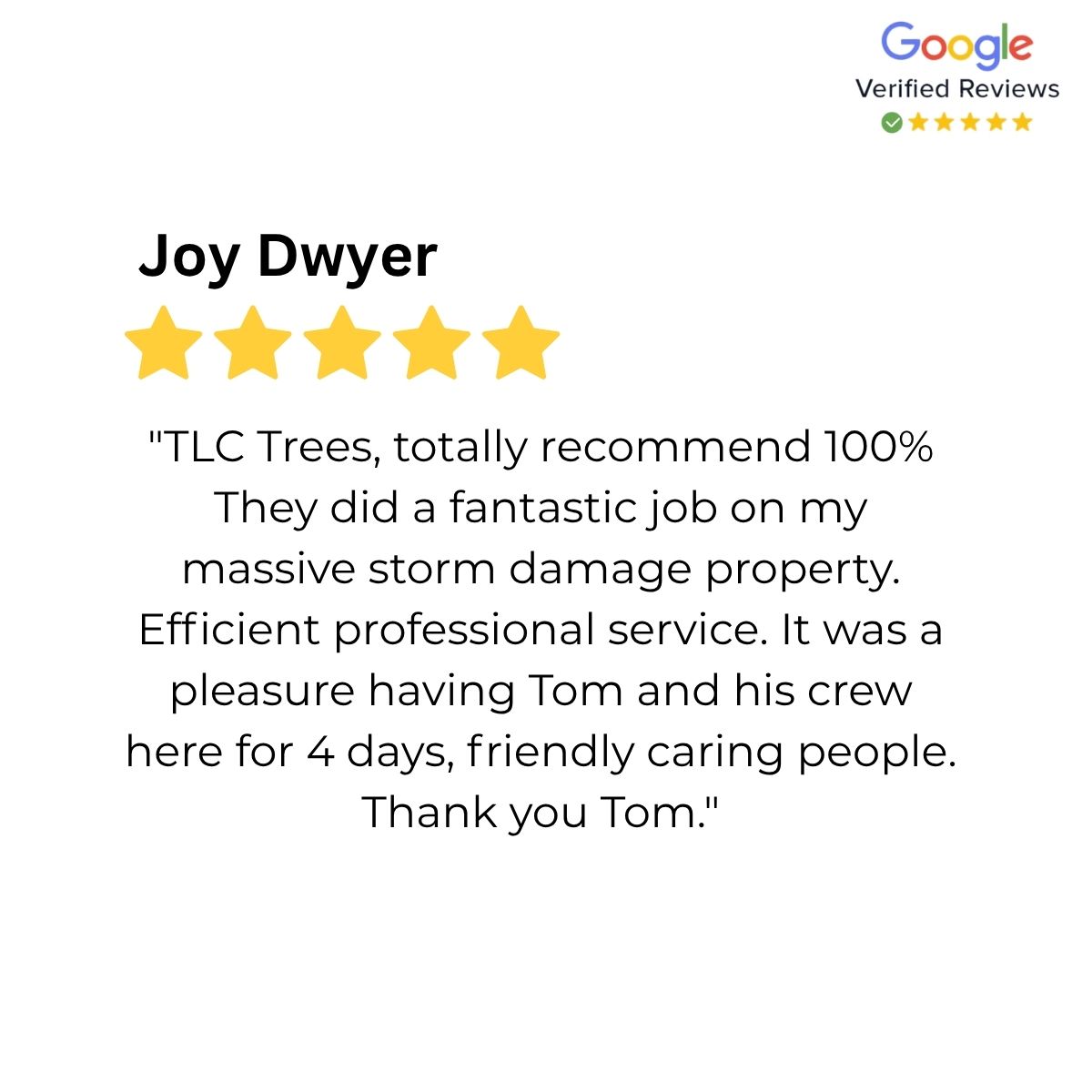 reviews 6